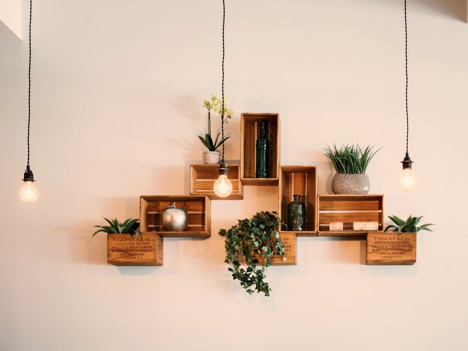 Studio shelf with sculptural lamps, plants and natural objects